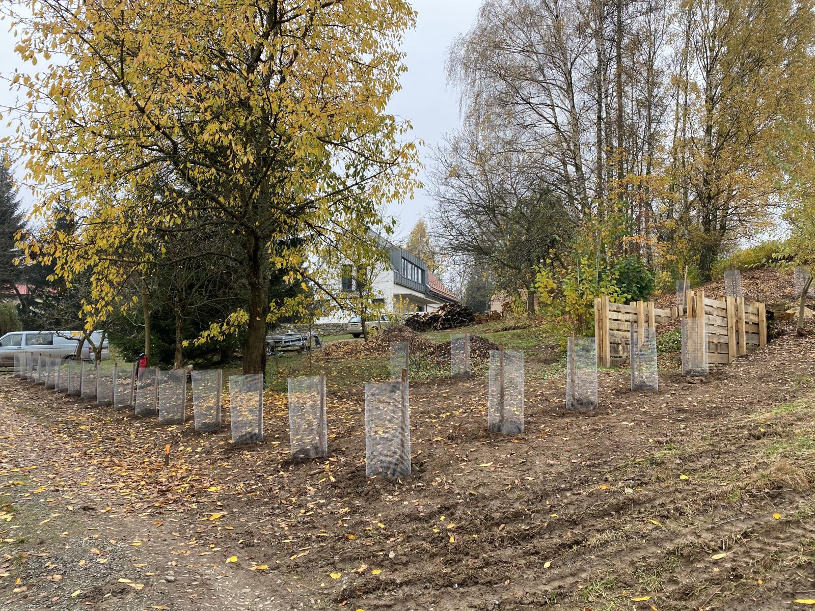 #06: Jarní výsadby a ovocné keře