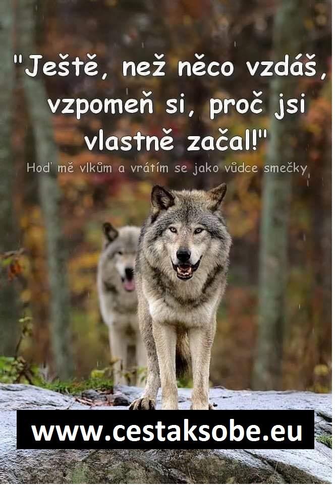 Chtít ovládat a ovládnout