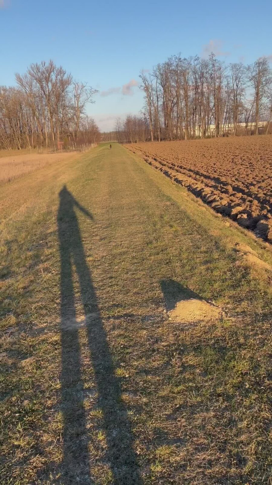 Tip na ochotné přivolání