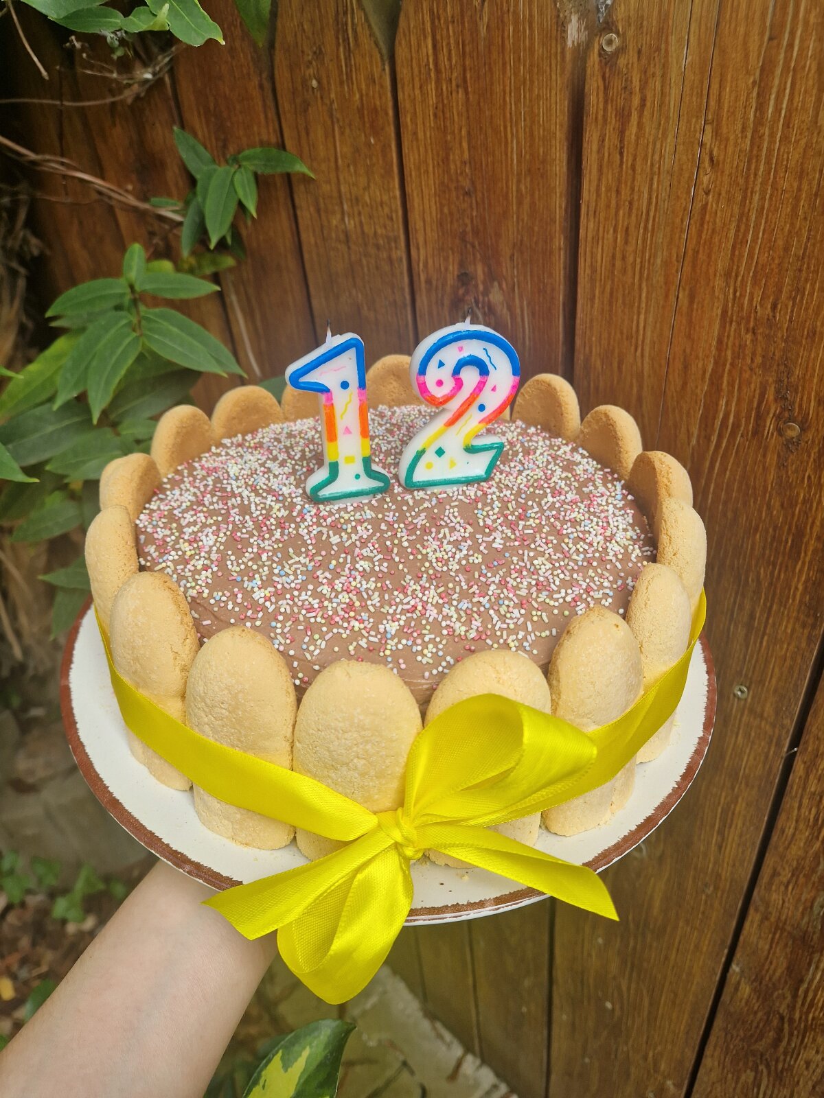 Výborný čokoládový dort (a krém)