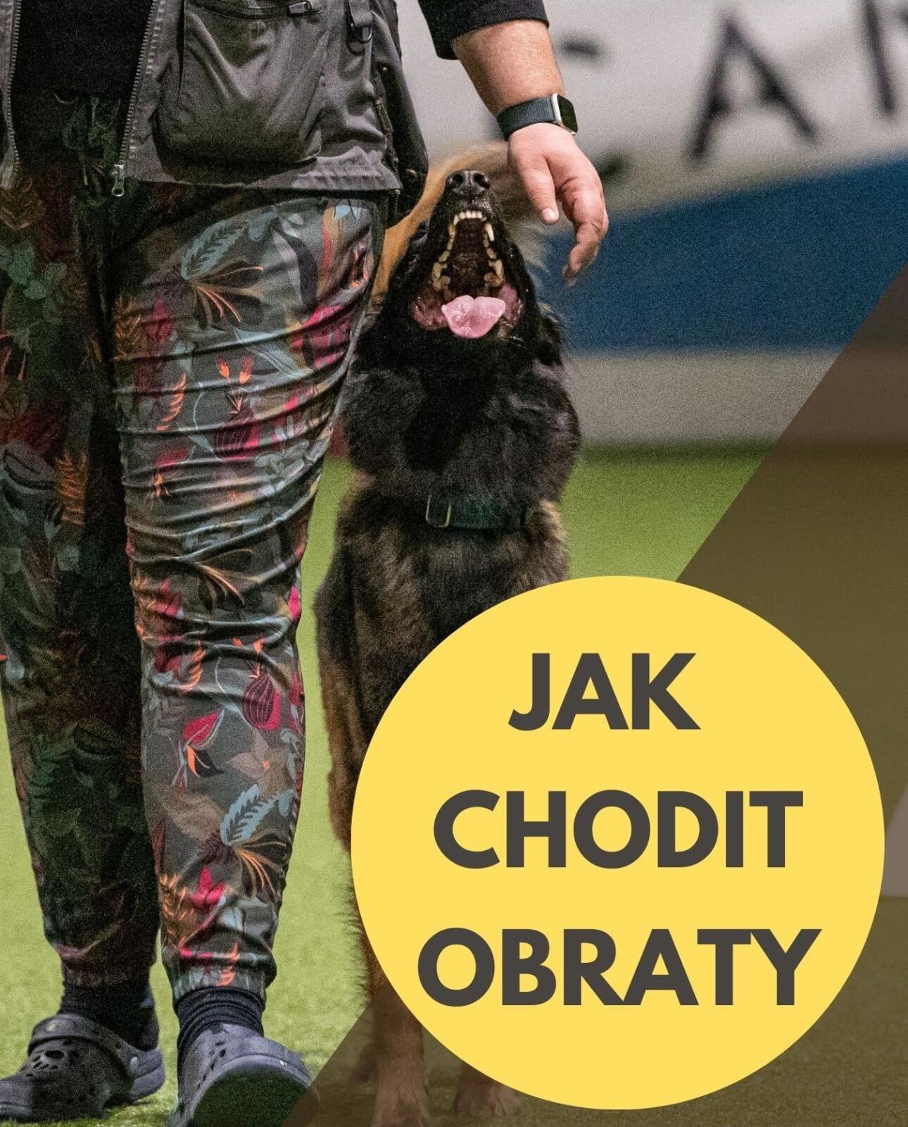 Jak chodit obraty