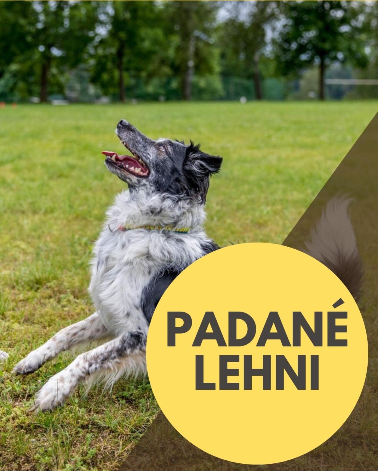 Jak na rychlé "padané" lehni